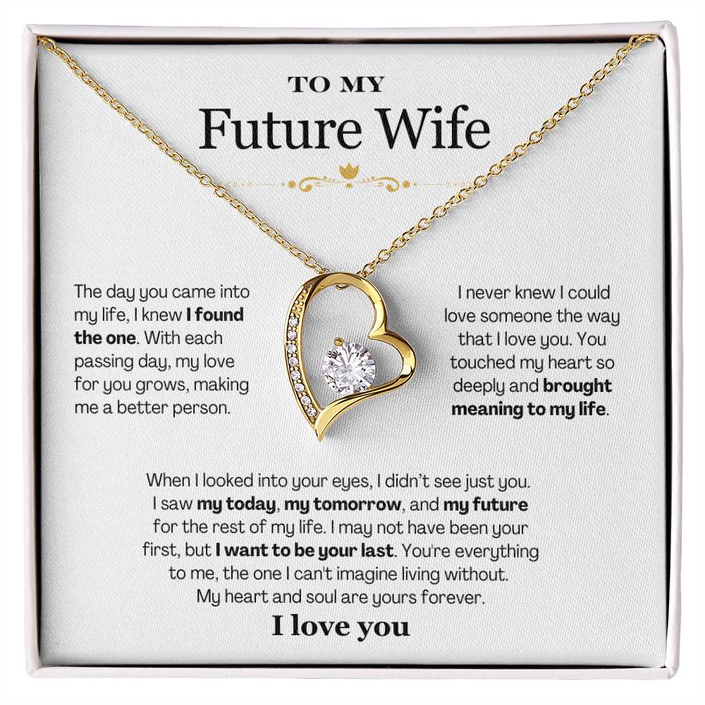 To My Future Wife - Forever Love Necklace Gift Set - CMS903