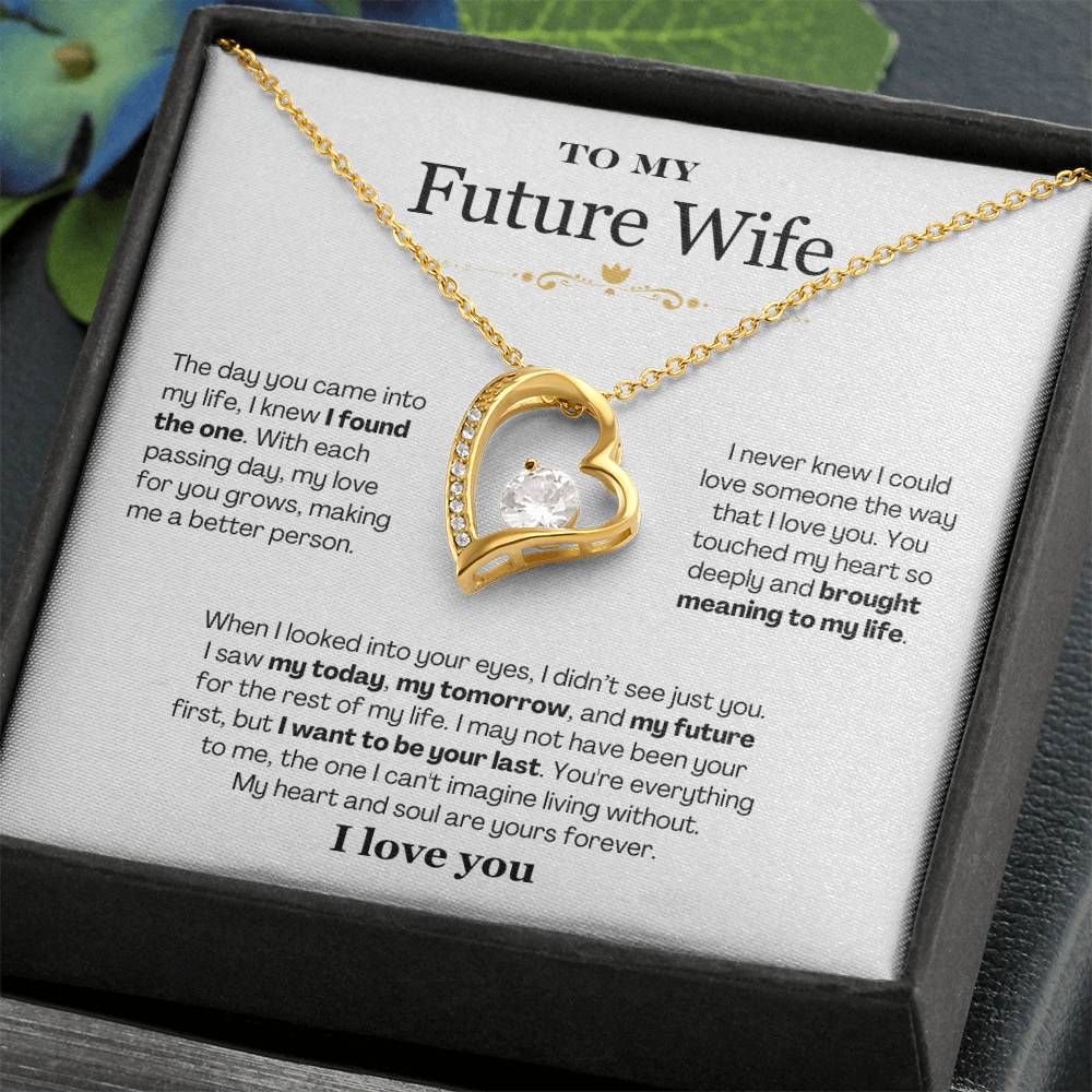 To My Future Wife - Forever Love Necklace Gift Set - CMS903